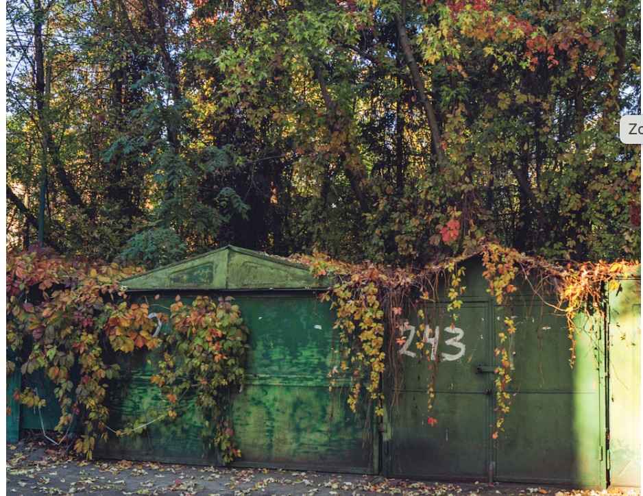 common yard waste materials