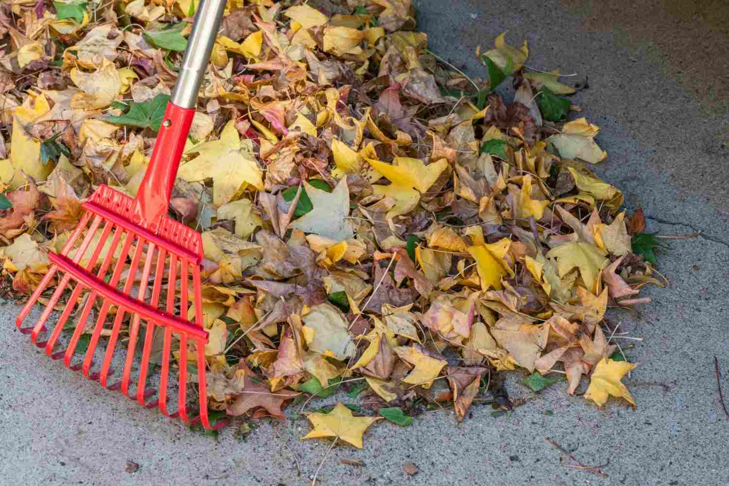 Yard Waste Bin Rental